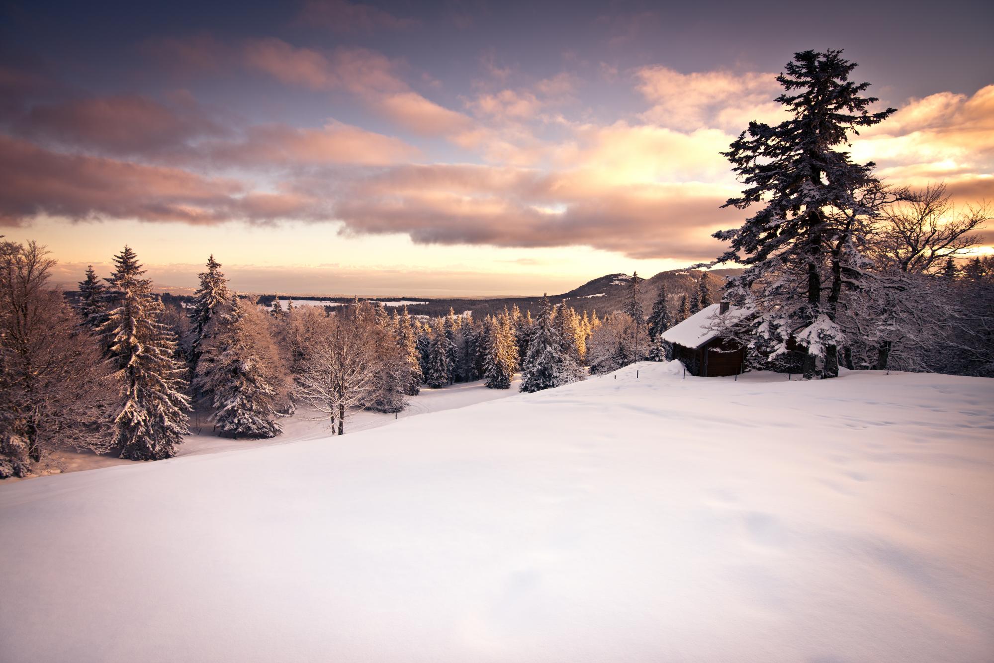 Parc Jura vaudois - Schnee