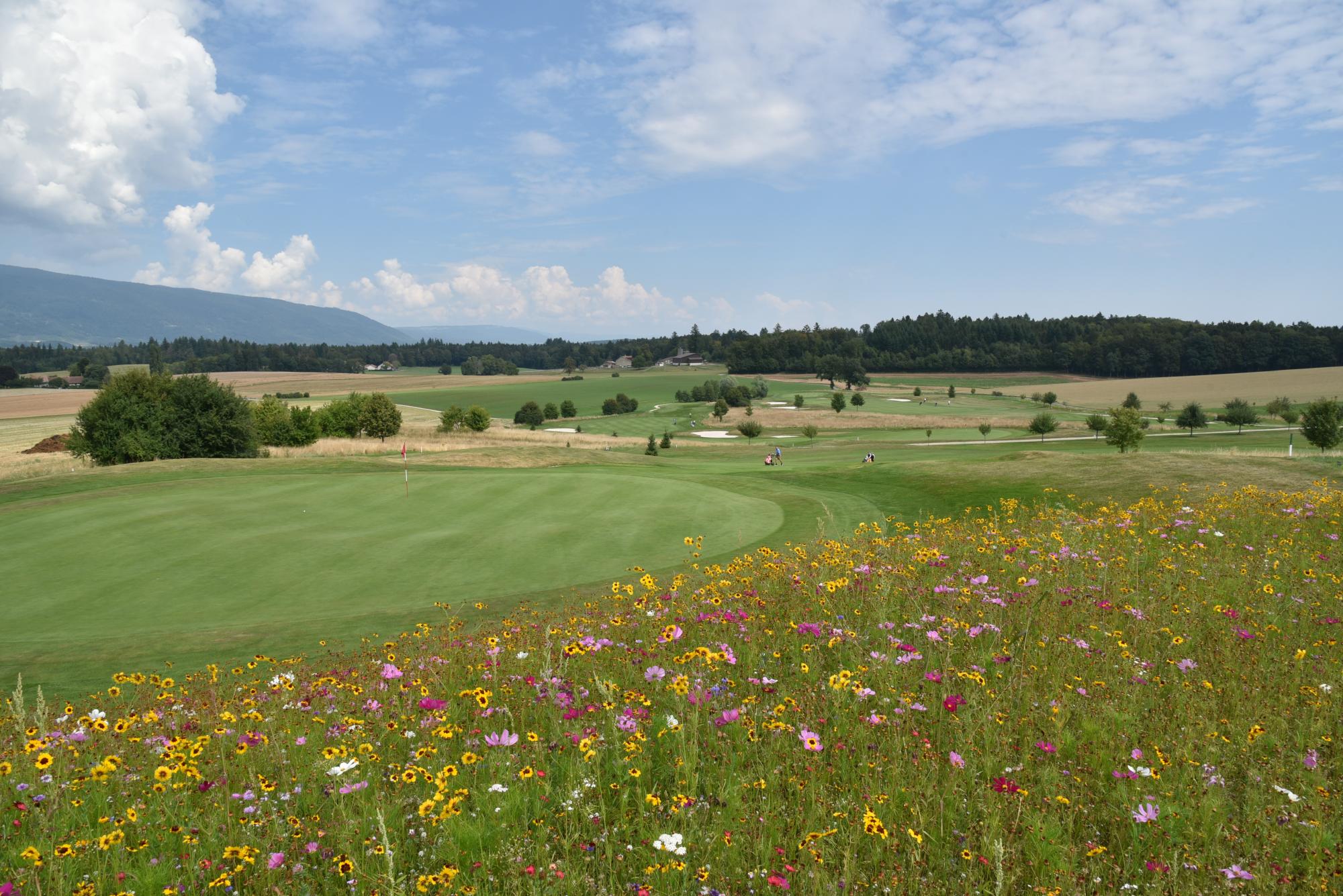 Golf Parc Signal de Bougy