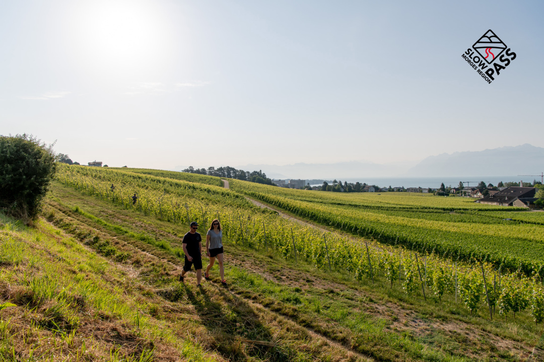 Visuel logo Slow Pass