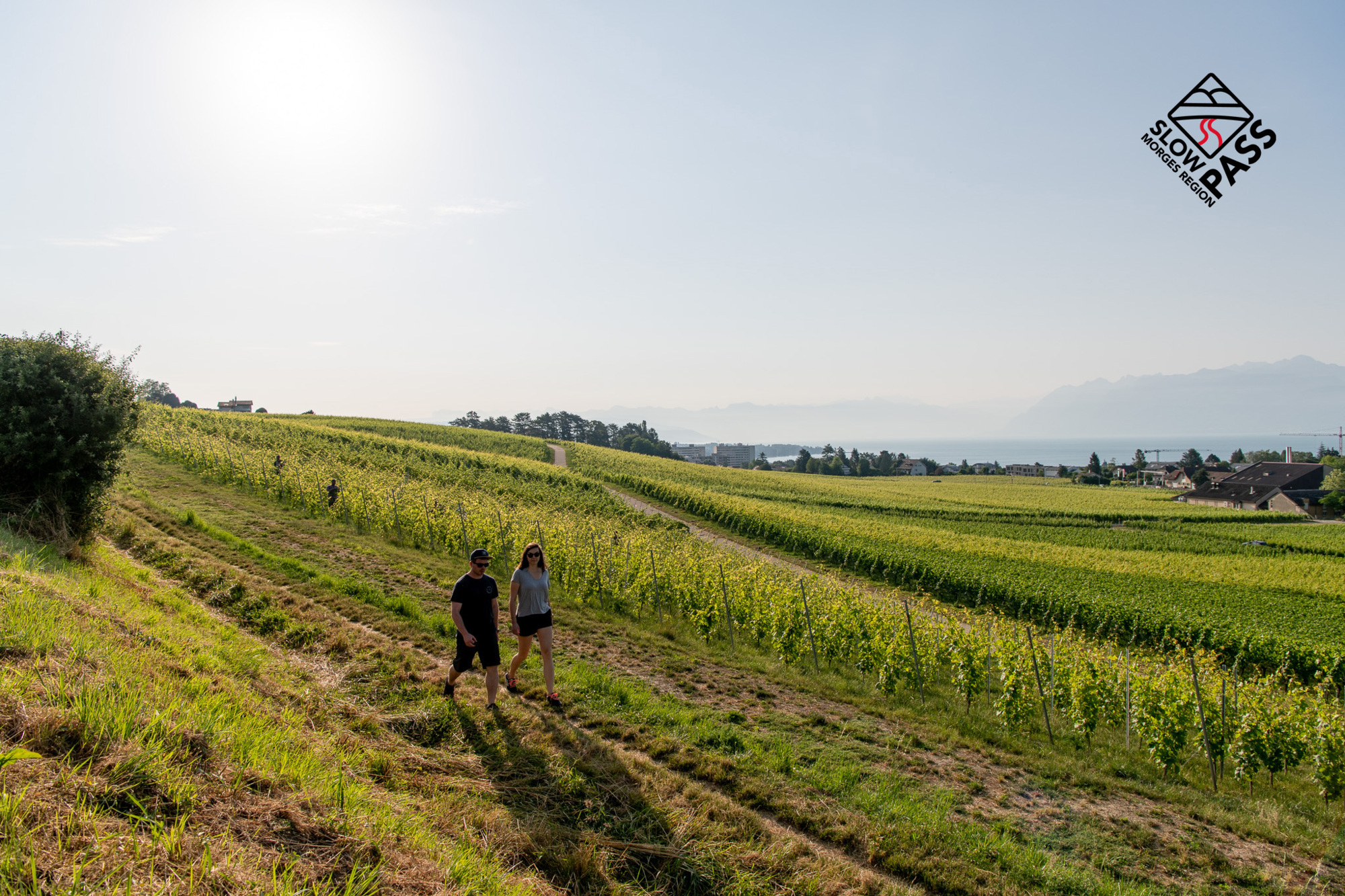 Visuel logo Slow Pass