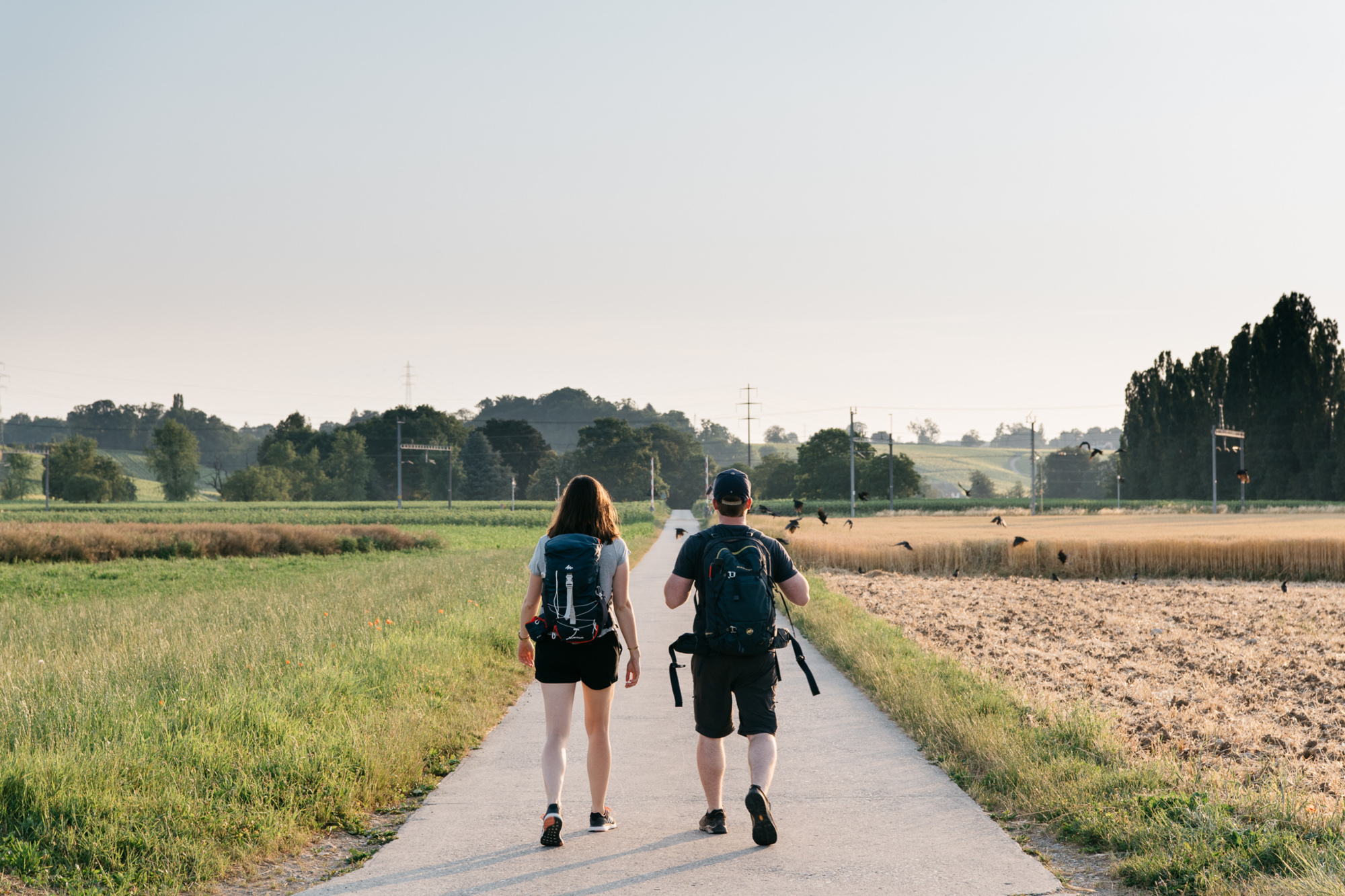 Morges vignes balade Vufflens été 2019 ©Raphaël Dupertuis  (57)
