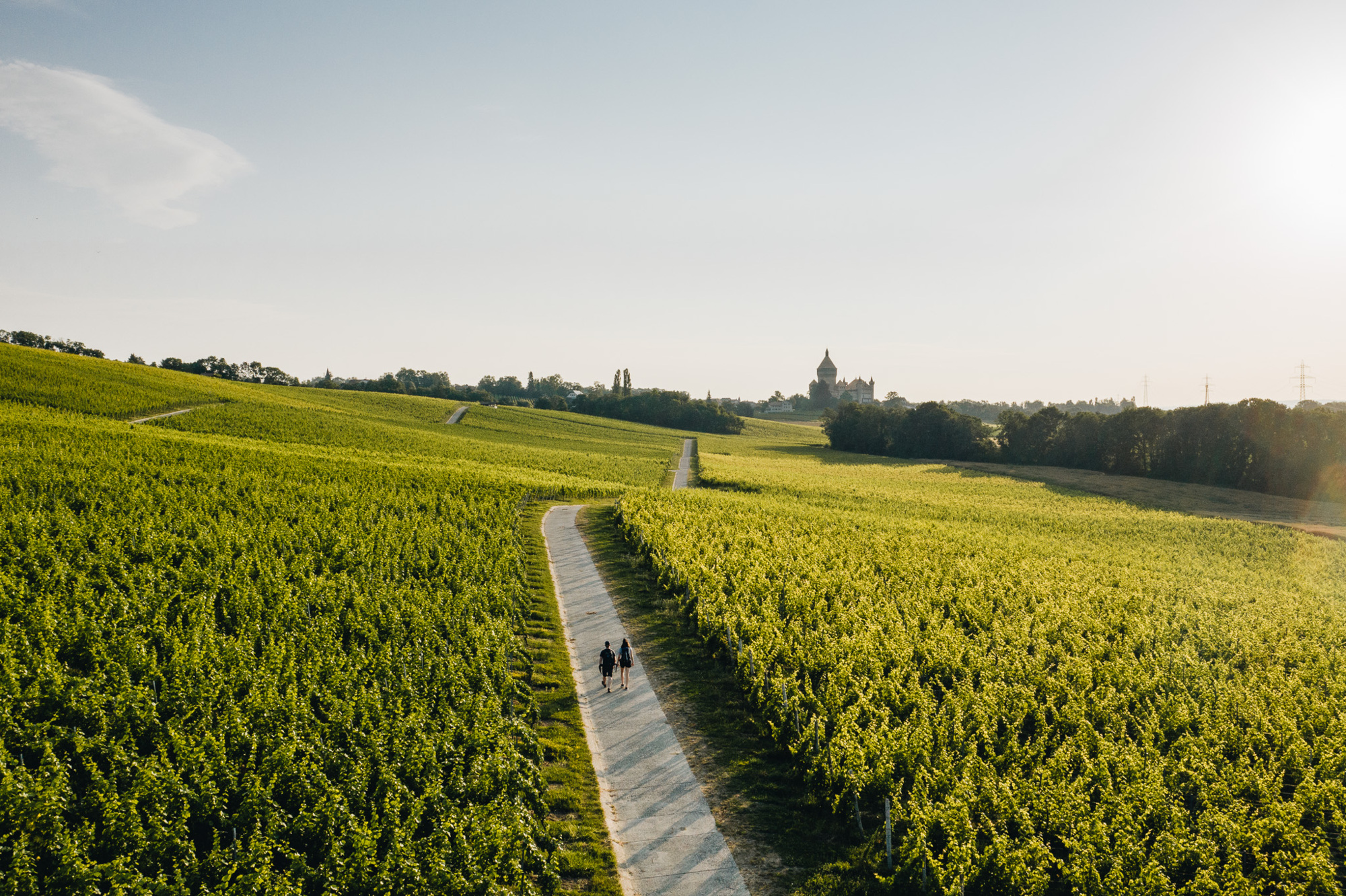 Morges vignes balade Vufflens &eacute;t&eacute; 2019 &copy;Rapha&euml;l Dupertuis  (28)