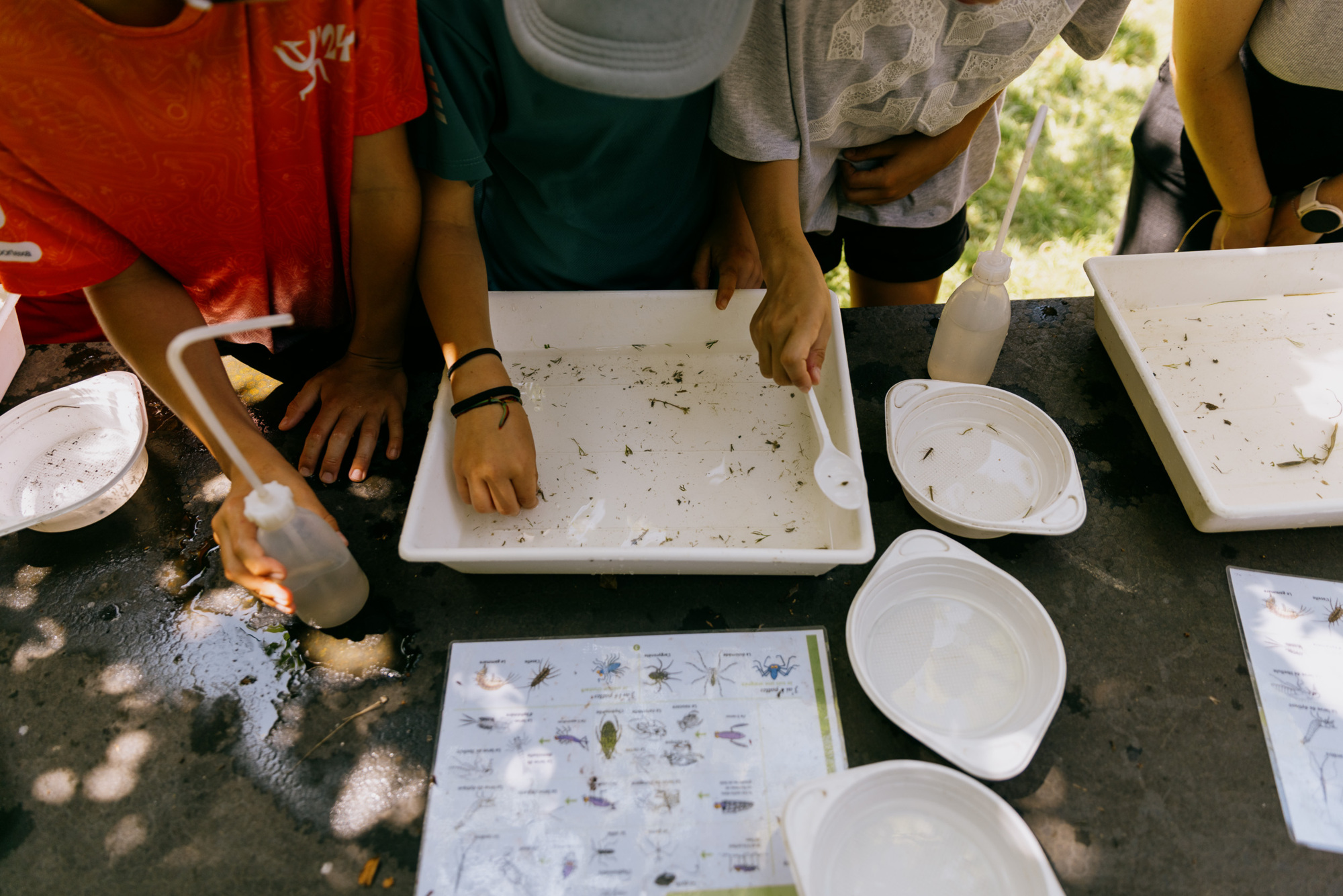 Les mytères de l'eau - Maison de la rivière