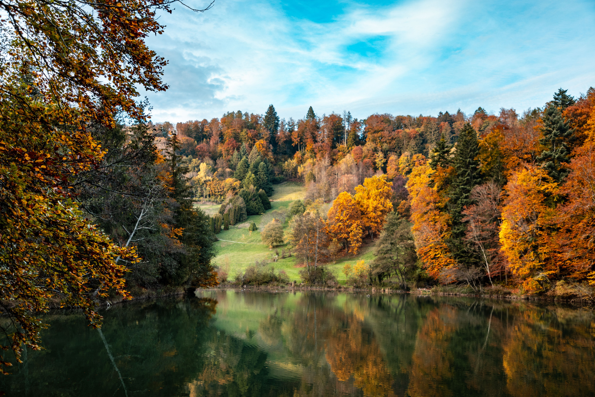 Arbotreum Aubonne automne 2024  ©De beaux Lents demains  (27)