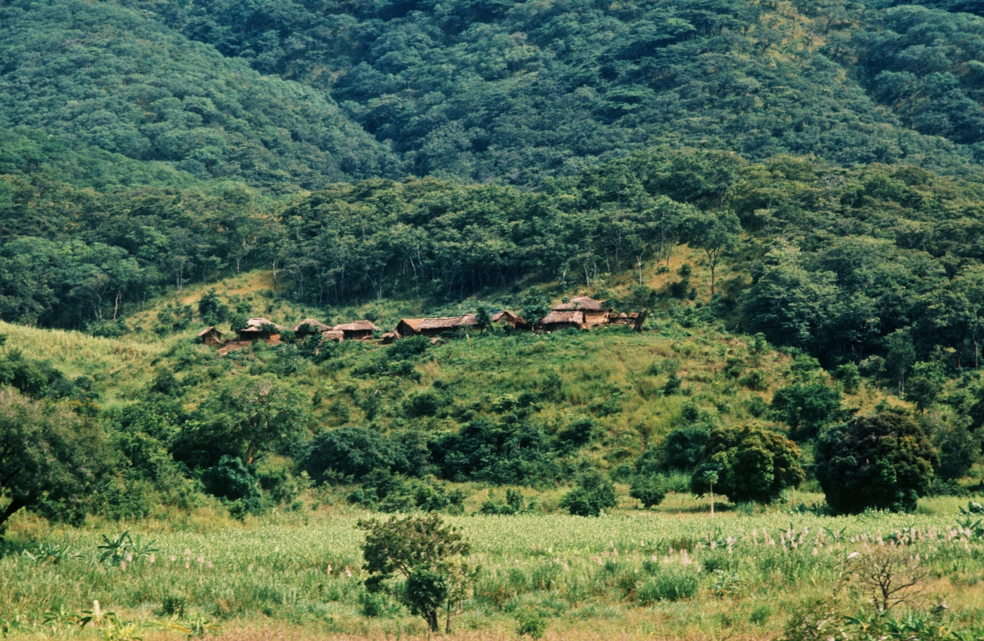 Exposition - Road Trip Afrique 1973