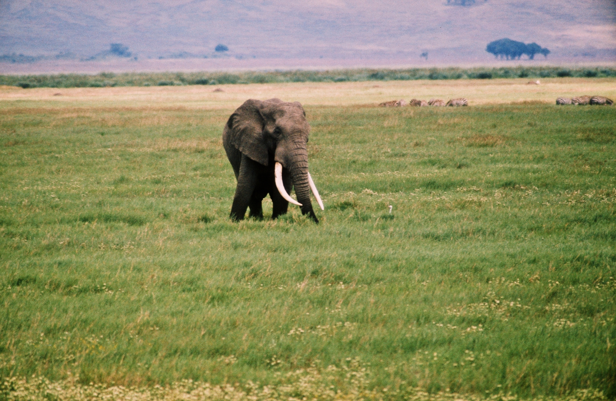 Exposition - Road Trip Afrique 1973