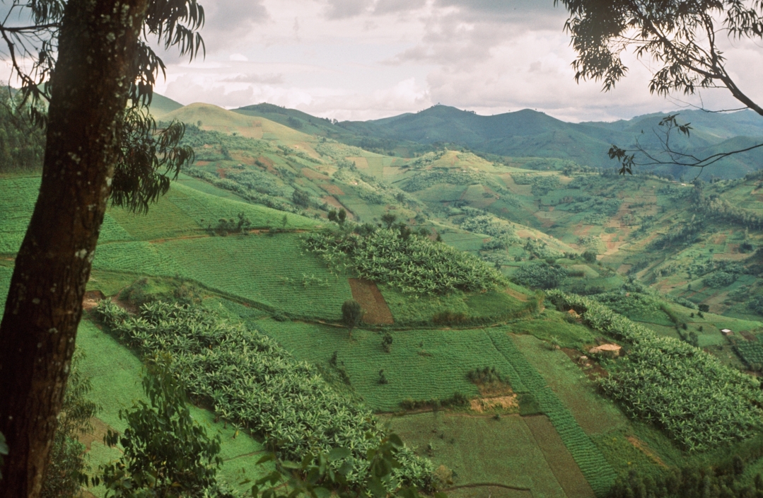 Exposition - Road Trip Afrique 1973