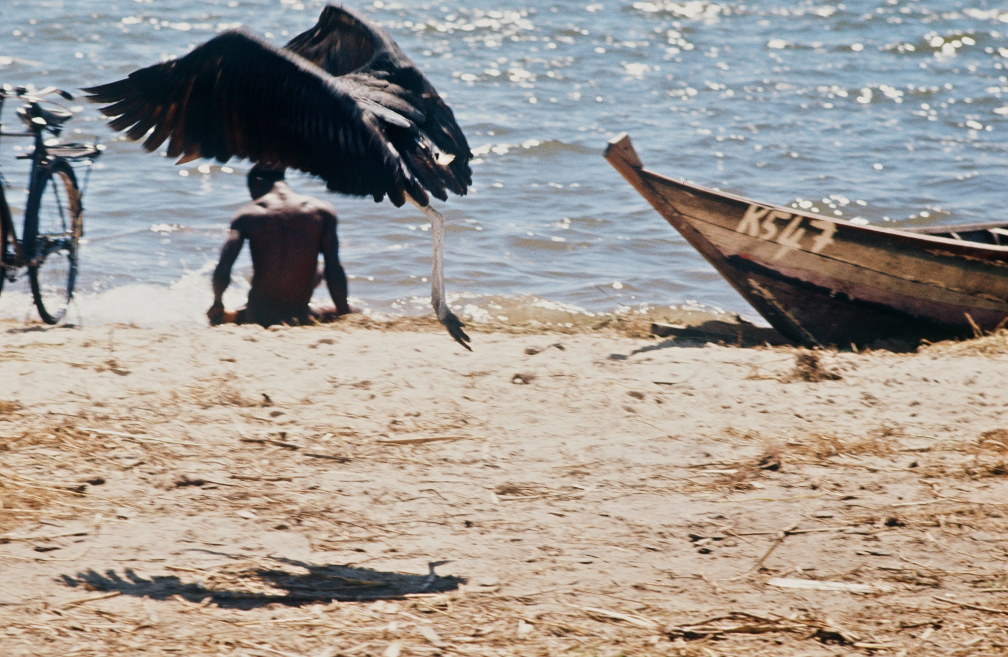 Exposition - Road Trip Afrique 1973