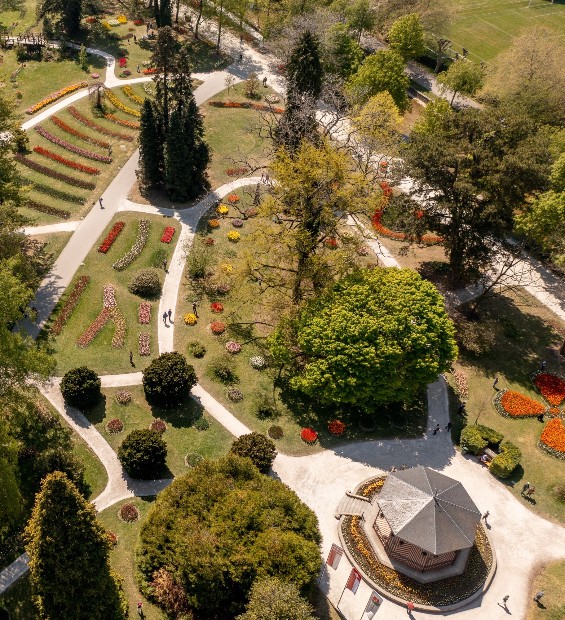F&ecirc;te de la Tulipe vue de haut parc
