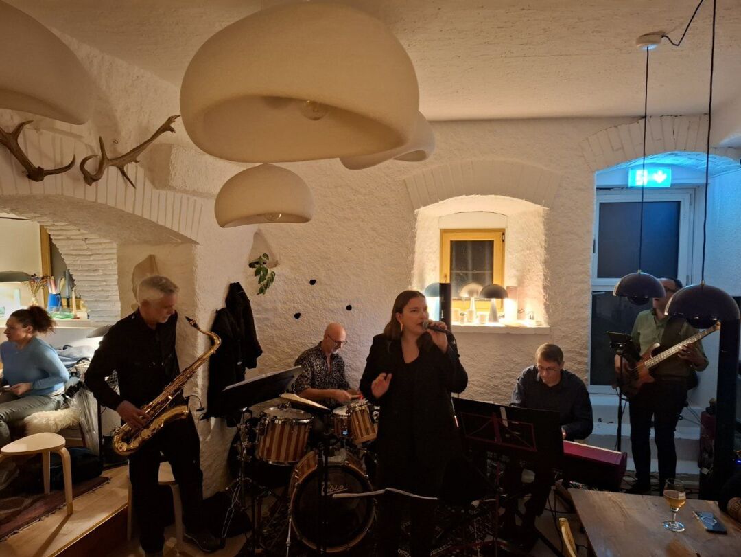 Concert : David chante Renaud