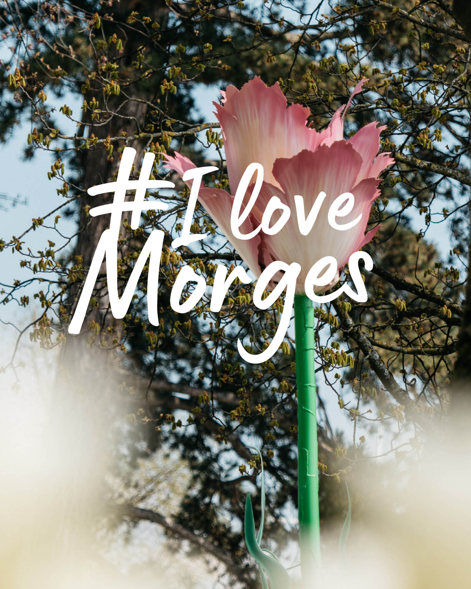 Concour photo #ilovemorges