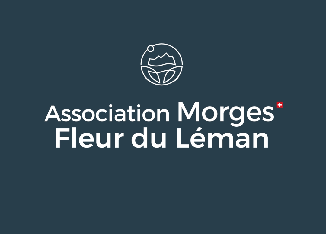Logo association MFL