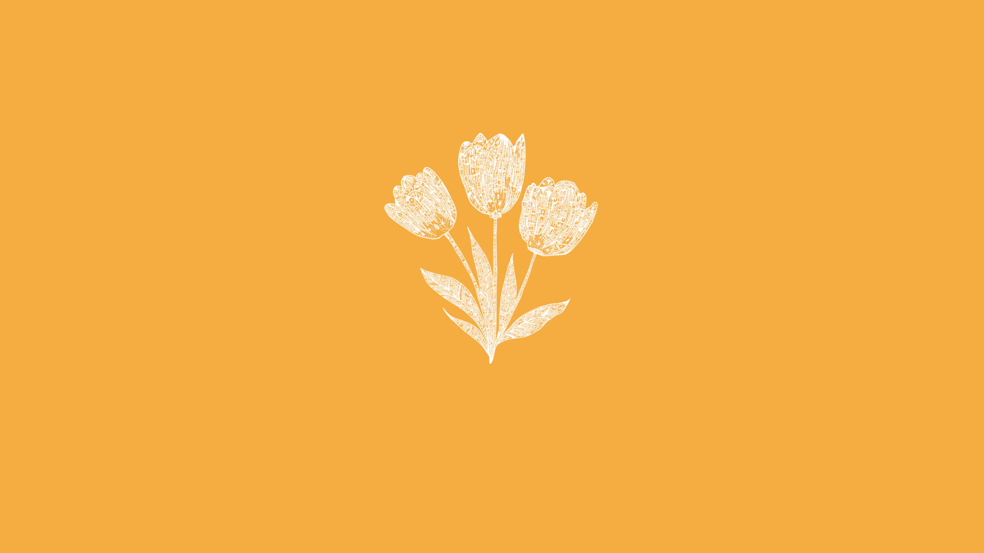 FTU 2026 - tulipes illustration