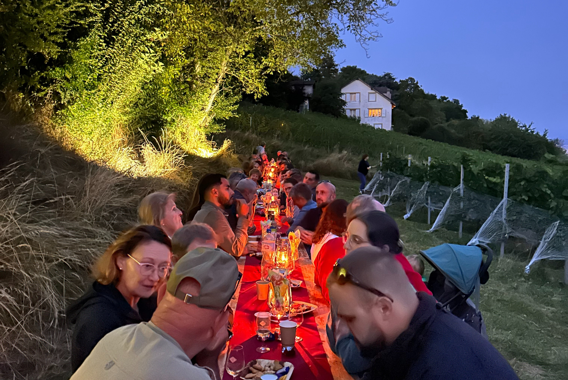 Cave jean daniel coeytaux