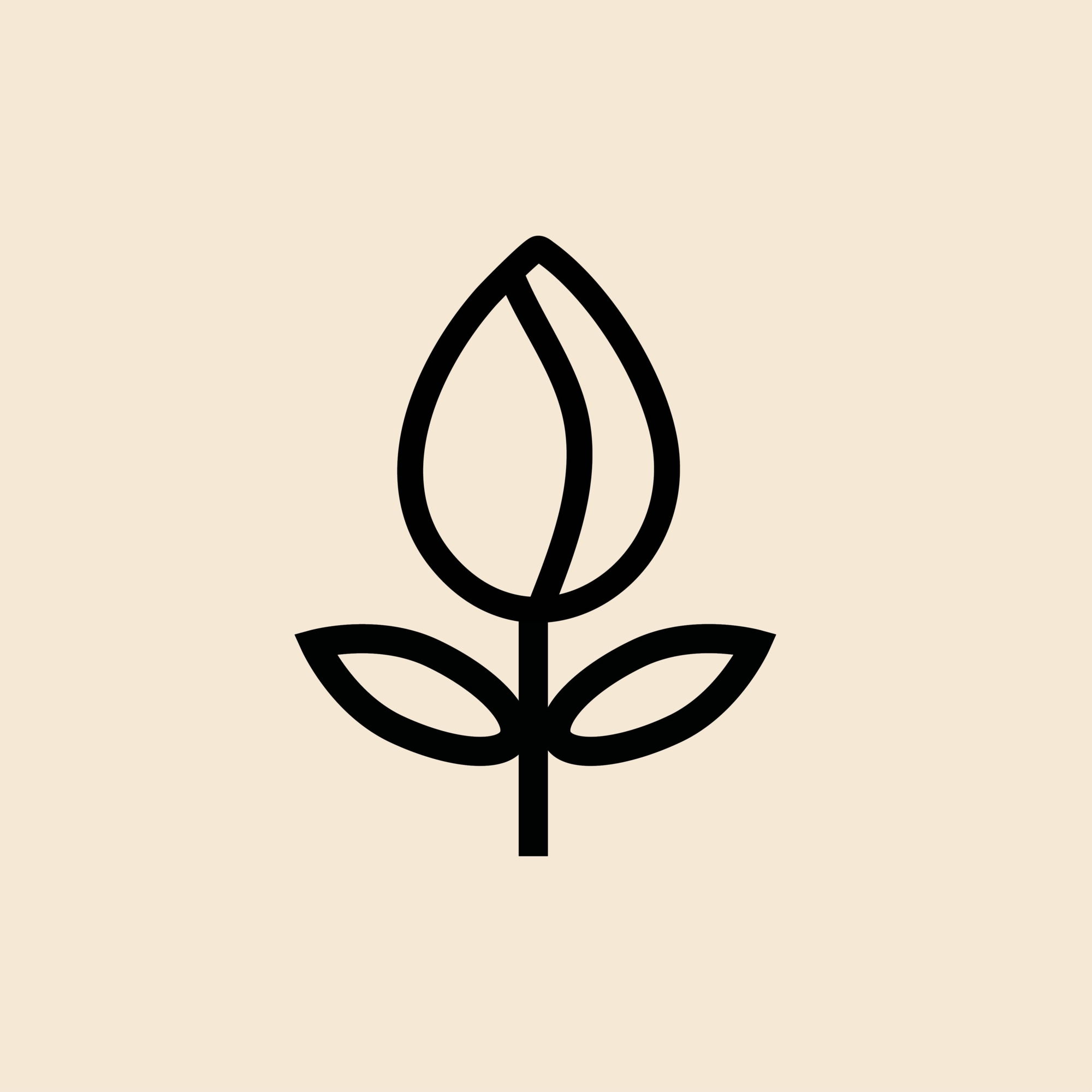 Floraison Tulipes 2026