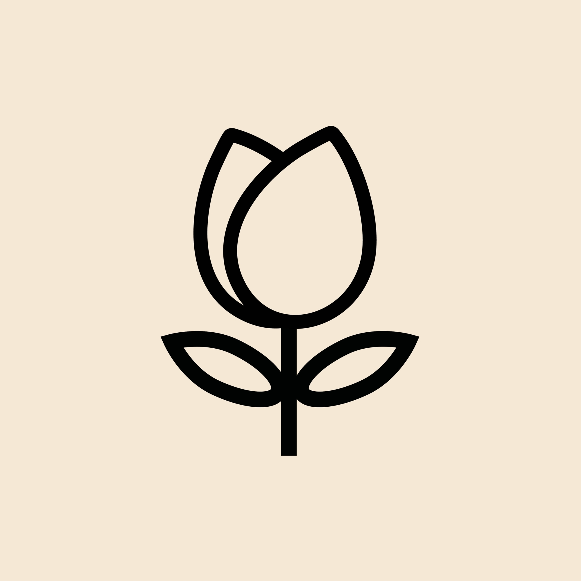 Floraison Tulipes 2026