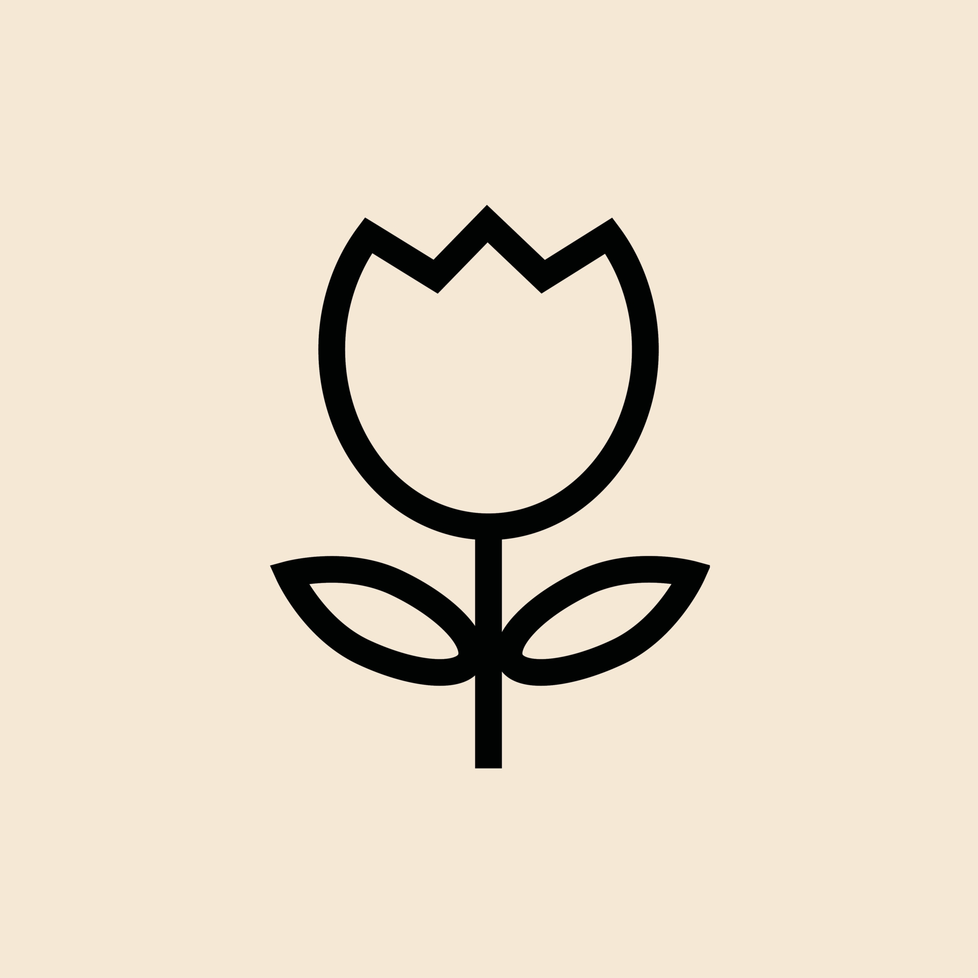 Floraison Tulipes 2026