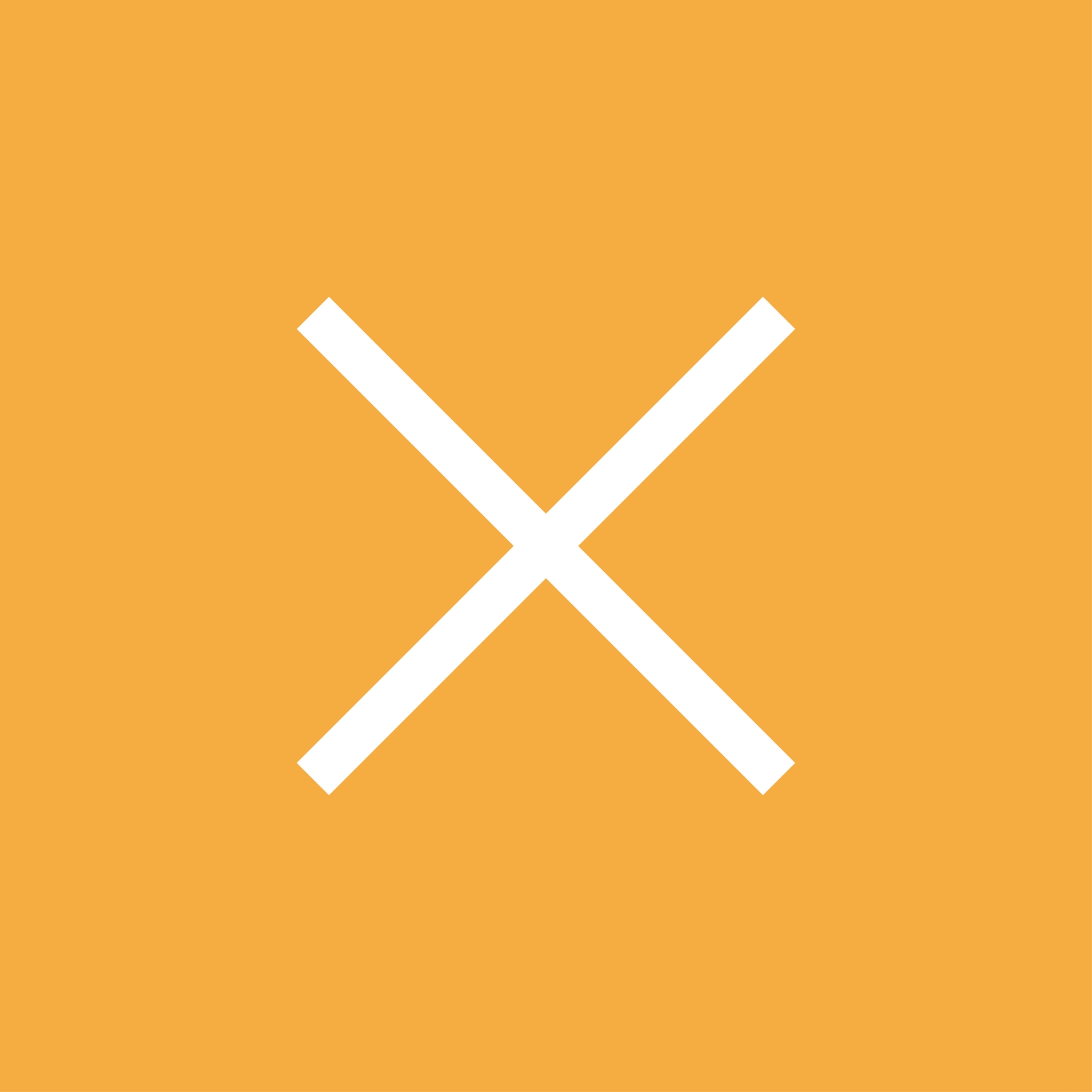 Floraison Tulipes 2026