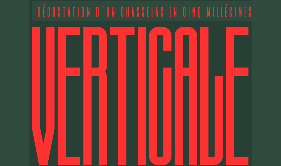 Verticale - Dégustation avec apéro riche