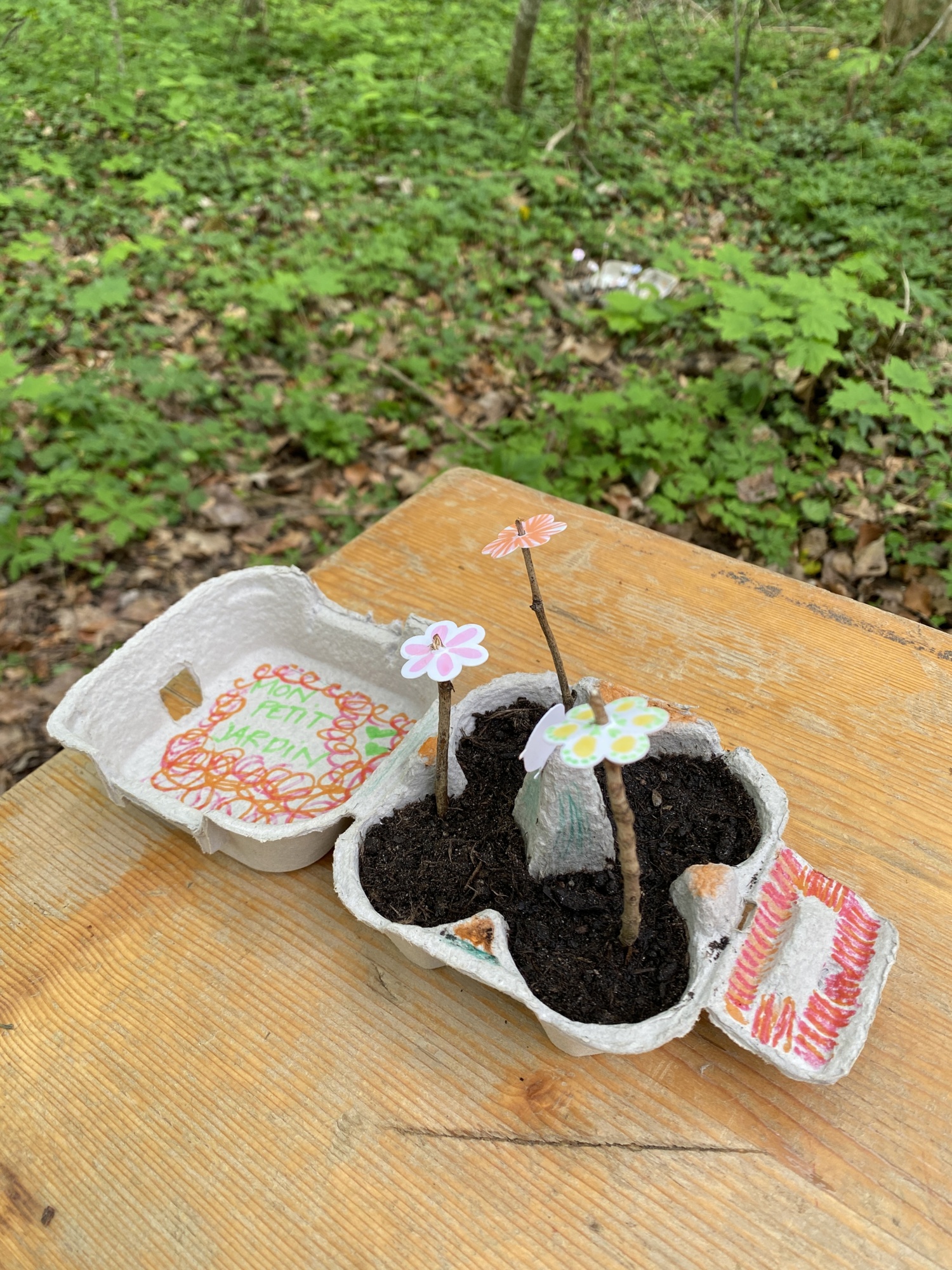 FTU 2026 Atelier Land Art "Royaume du Roi Lézard"