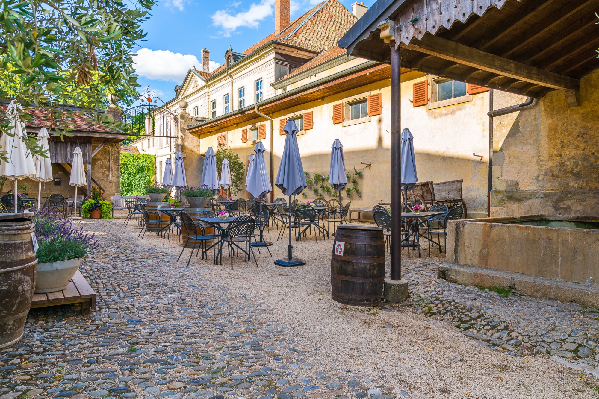 DJ. WINE. RACLETTE – Afterwork