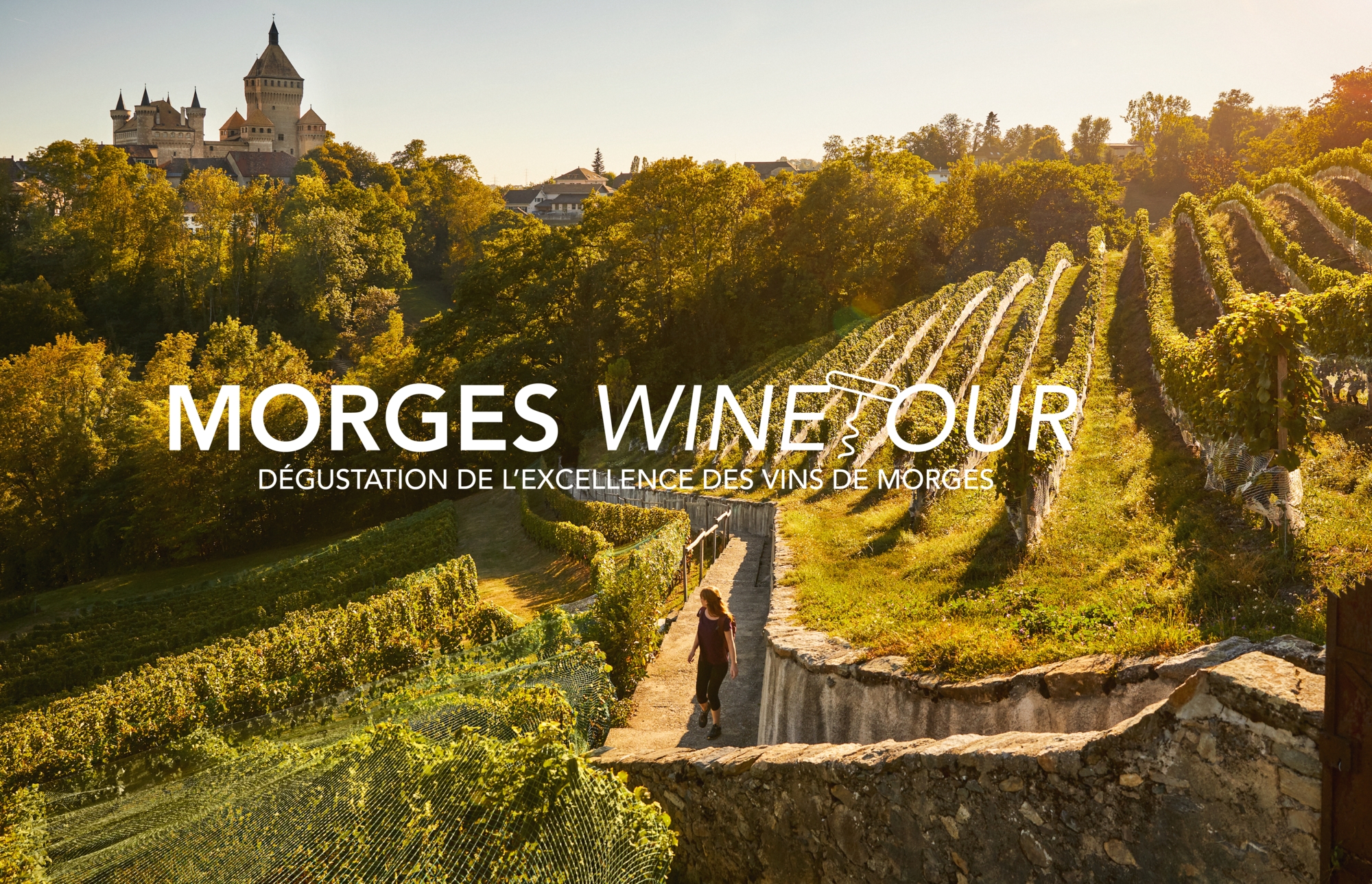 Morges Wine Tour