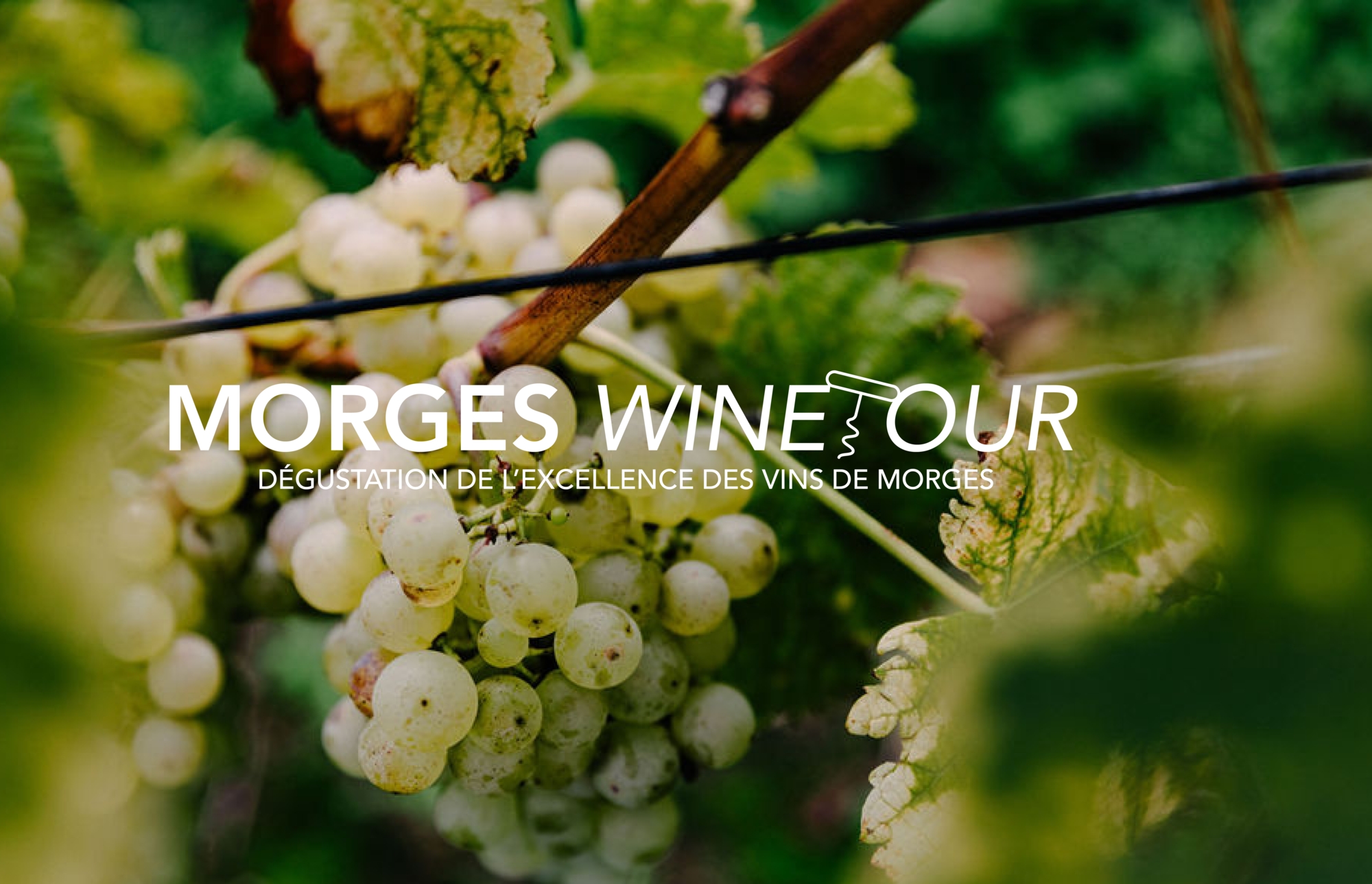 Morges Wine Tour