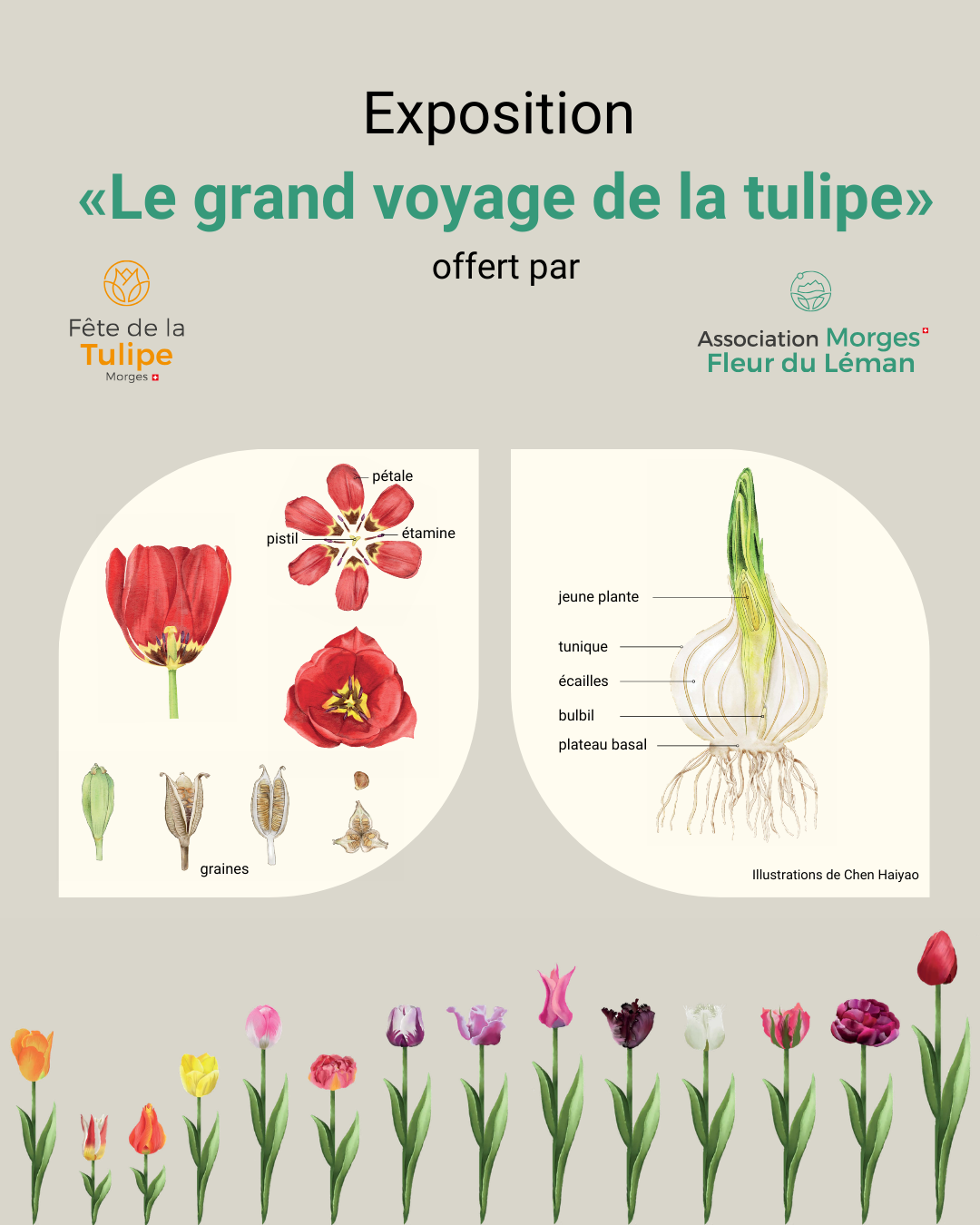 Le Grand Voyage de la Tulipe 2026
