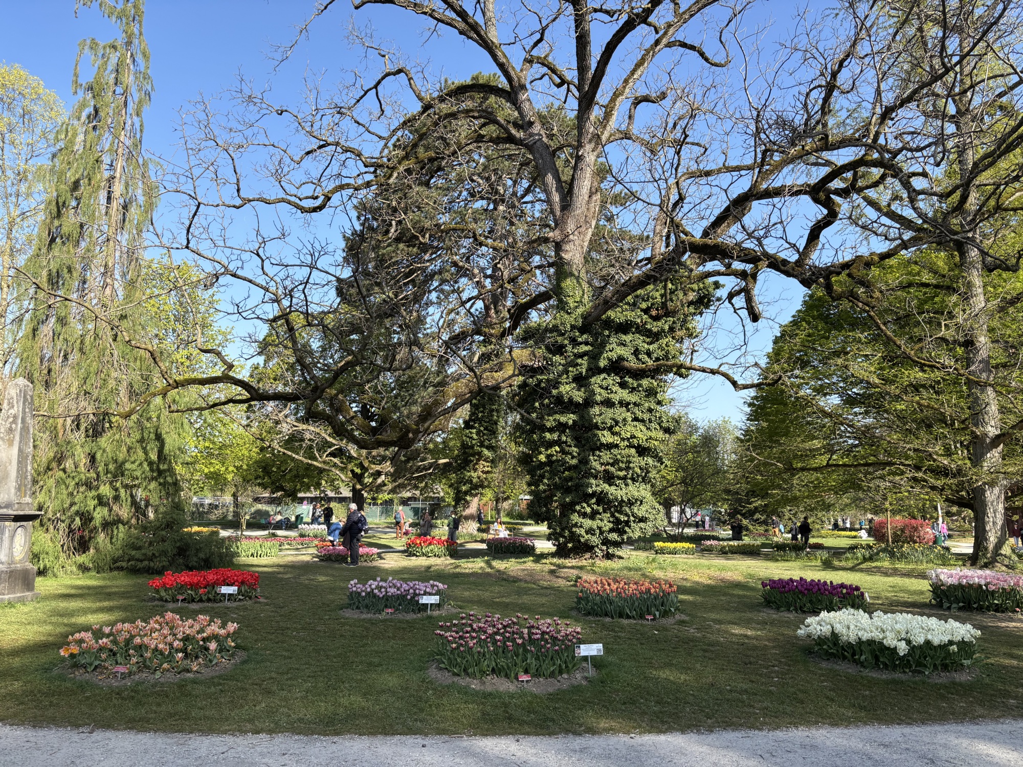 Etat de floraison 11.04.2026