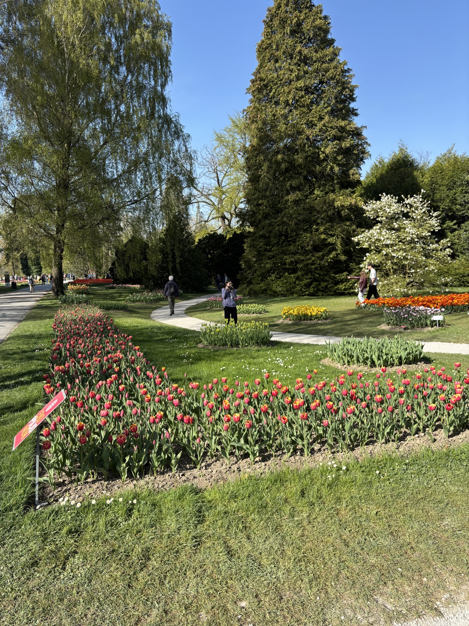 Etat de floraison 11.04.2026