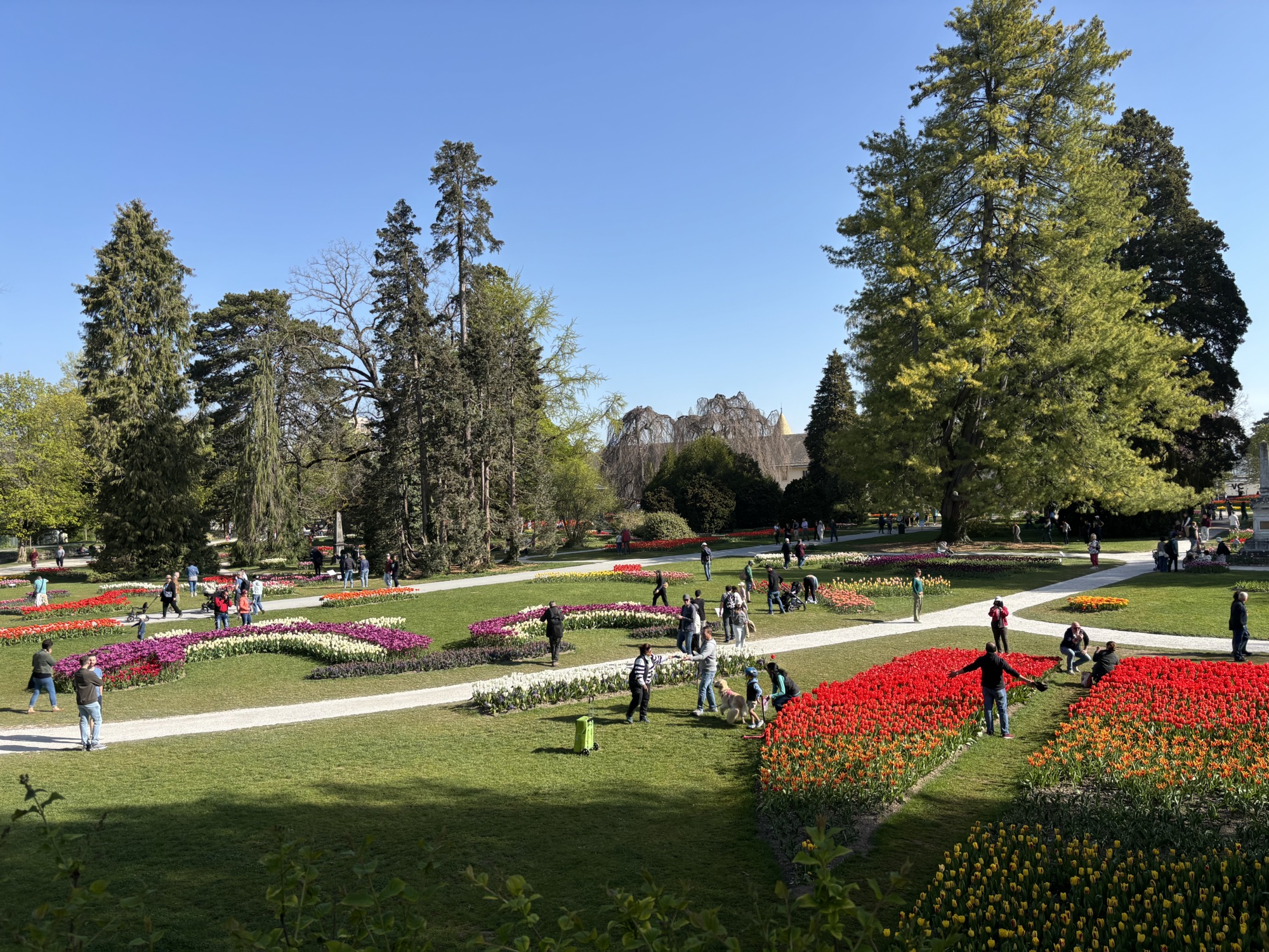 Etat de floraison 11.04.2026