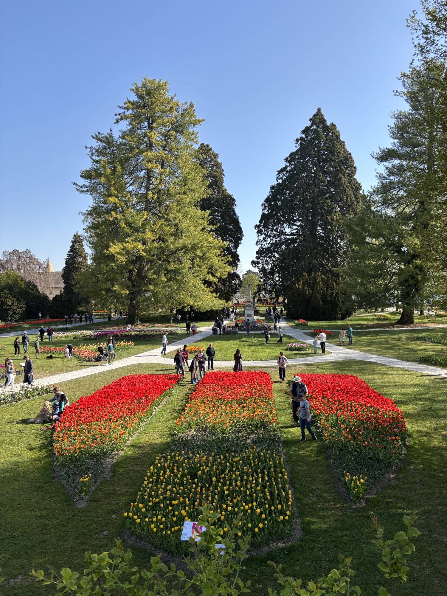 Etat de floraison 11.04.2026