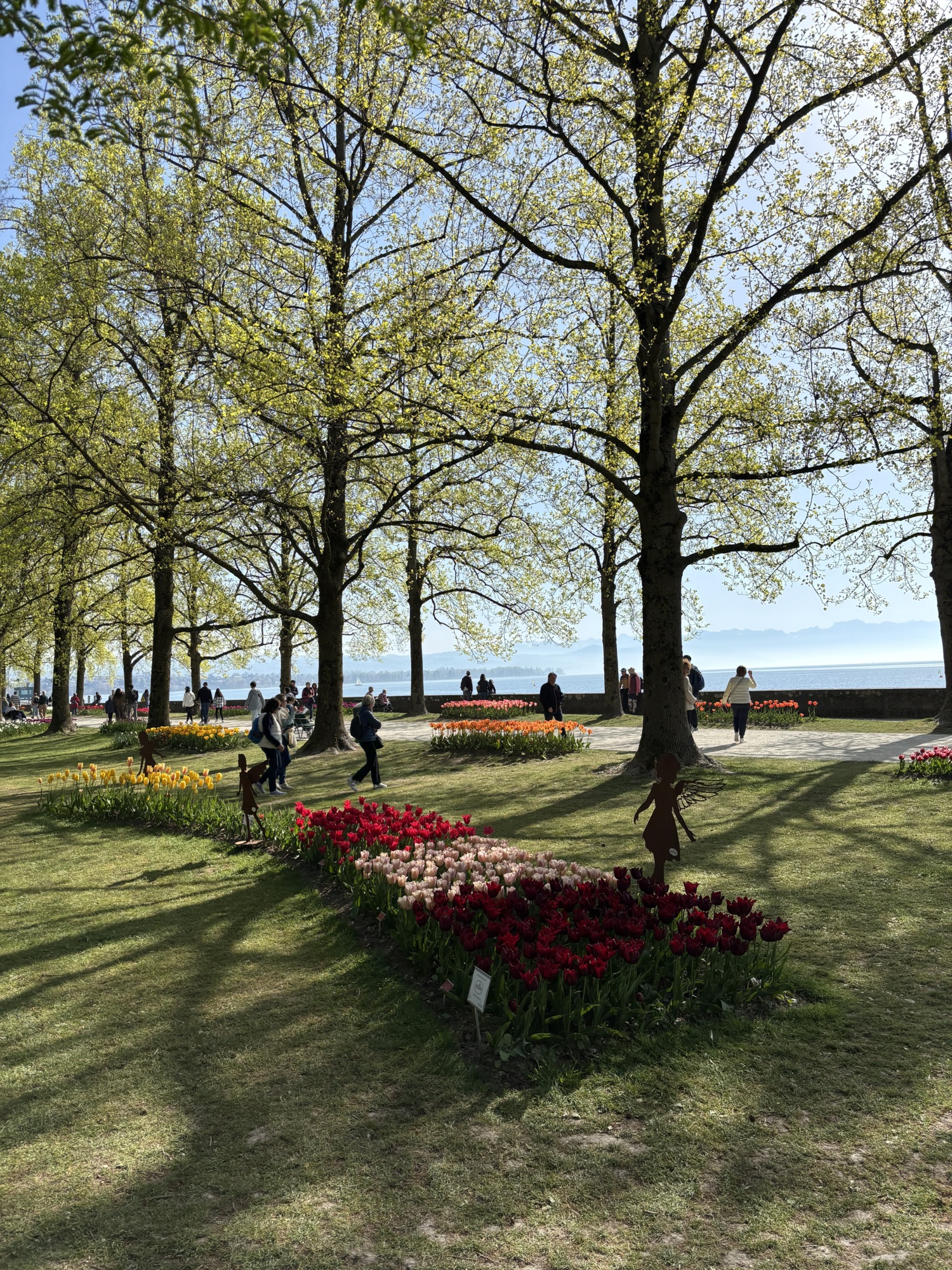 Etat de floraison 11.04.2026