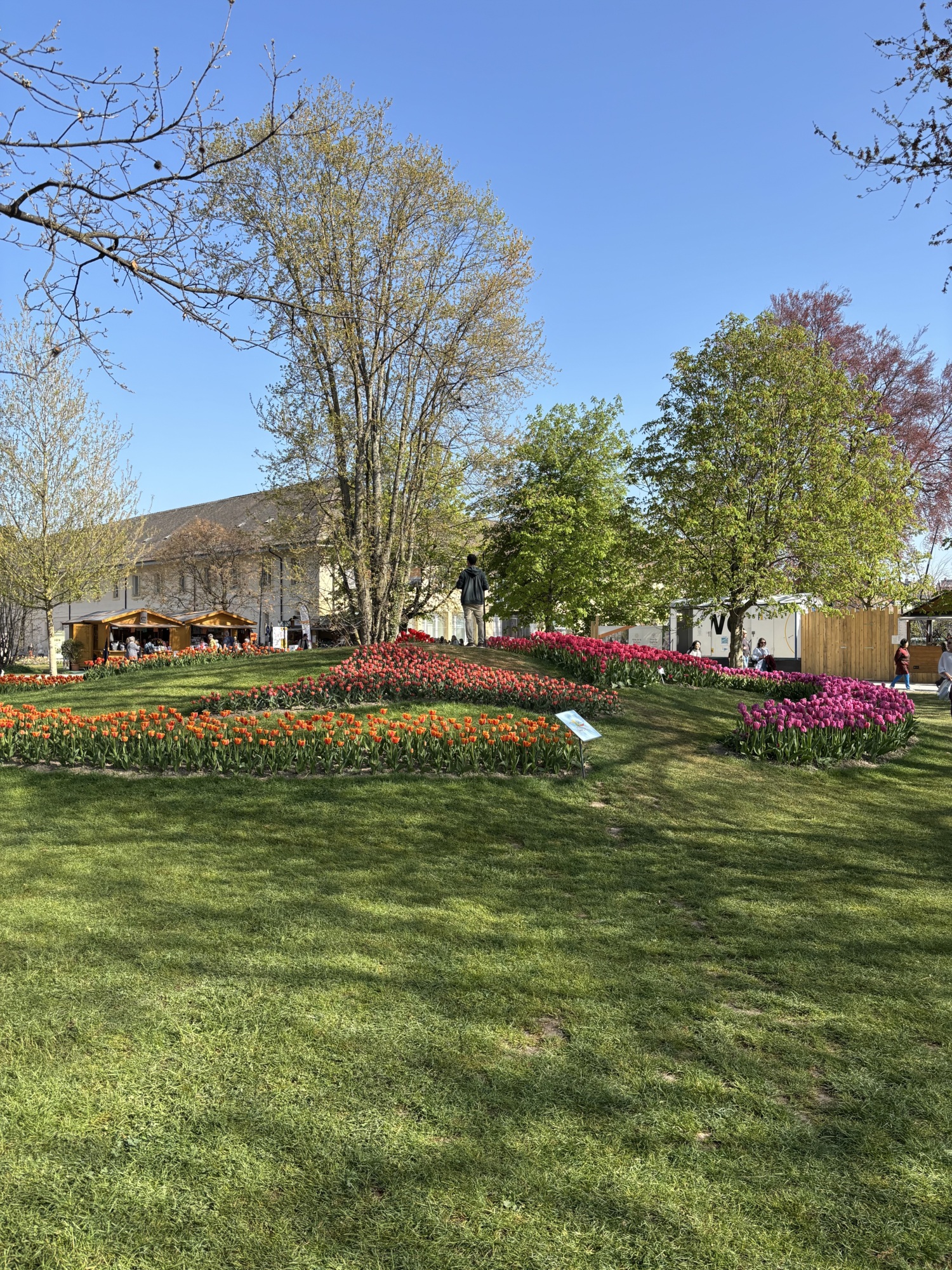 Etat de floraison 11.04.2026