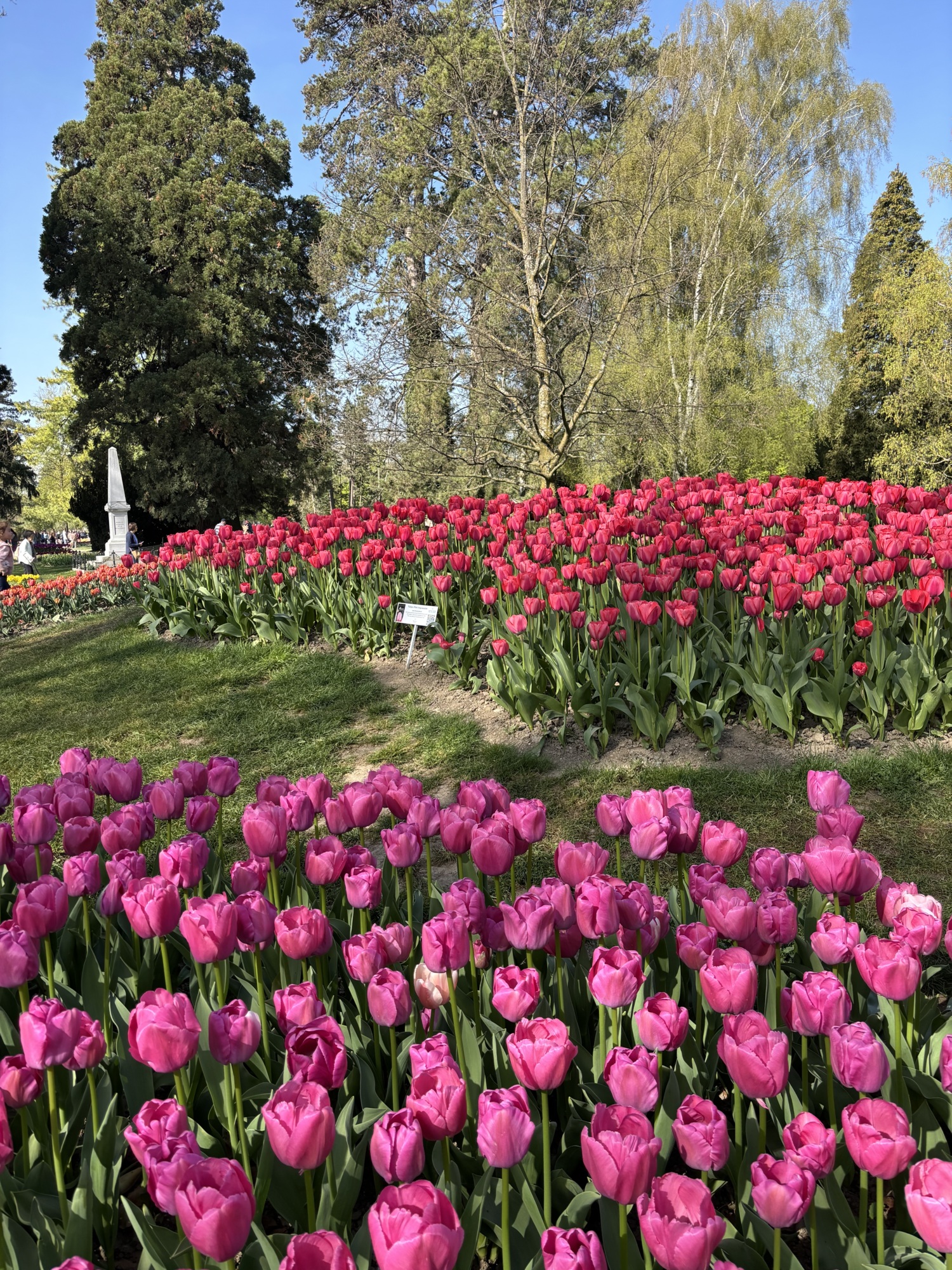 Etat de floraison 11.04.2026