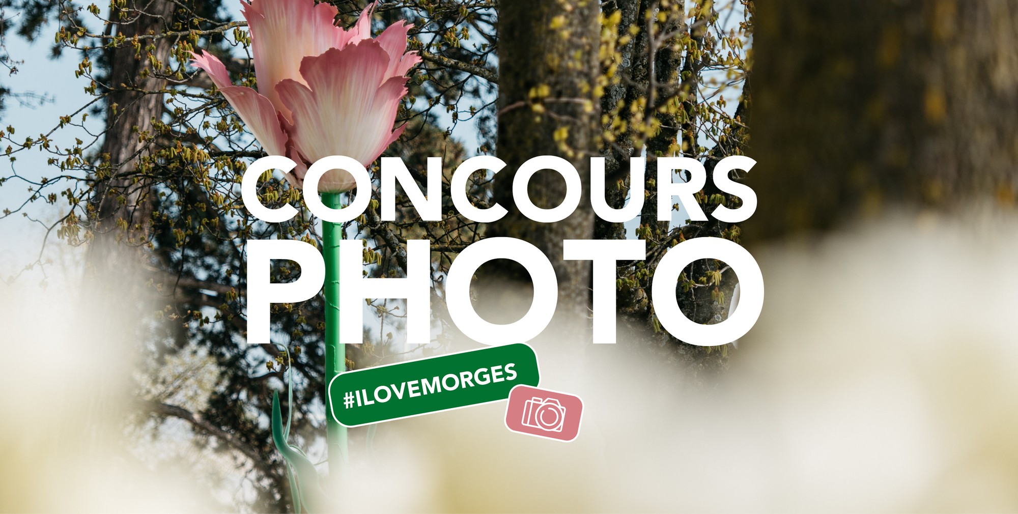 visuel #ilovemorges
