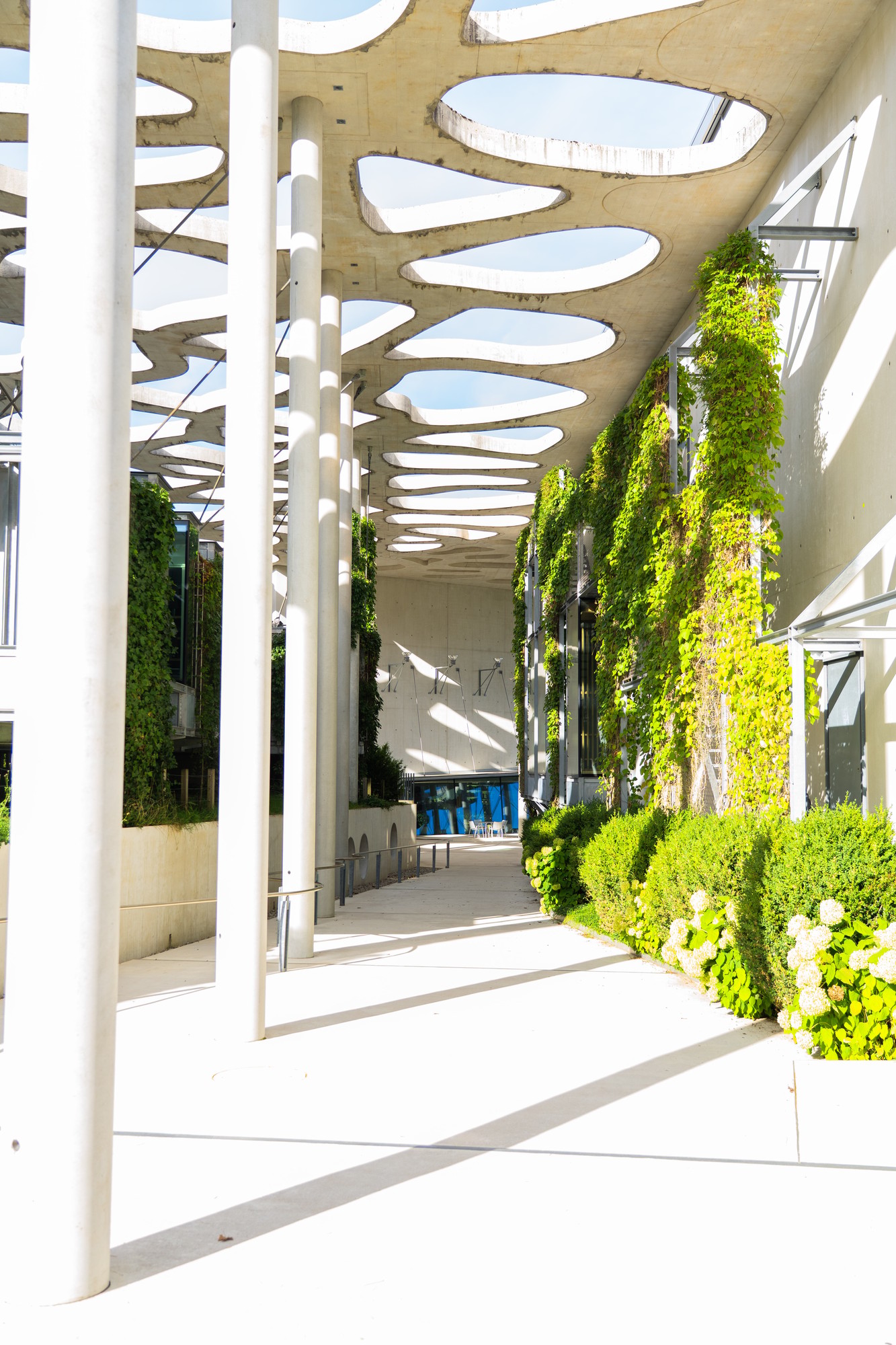 Fondation Jan Michalski été