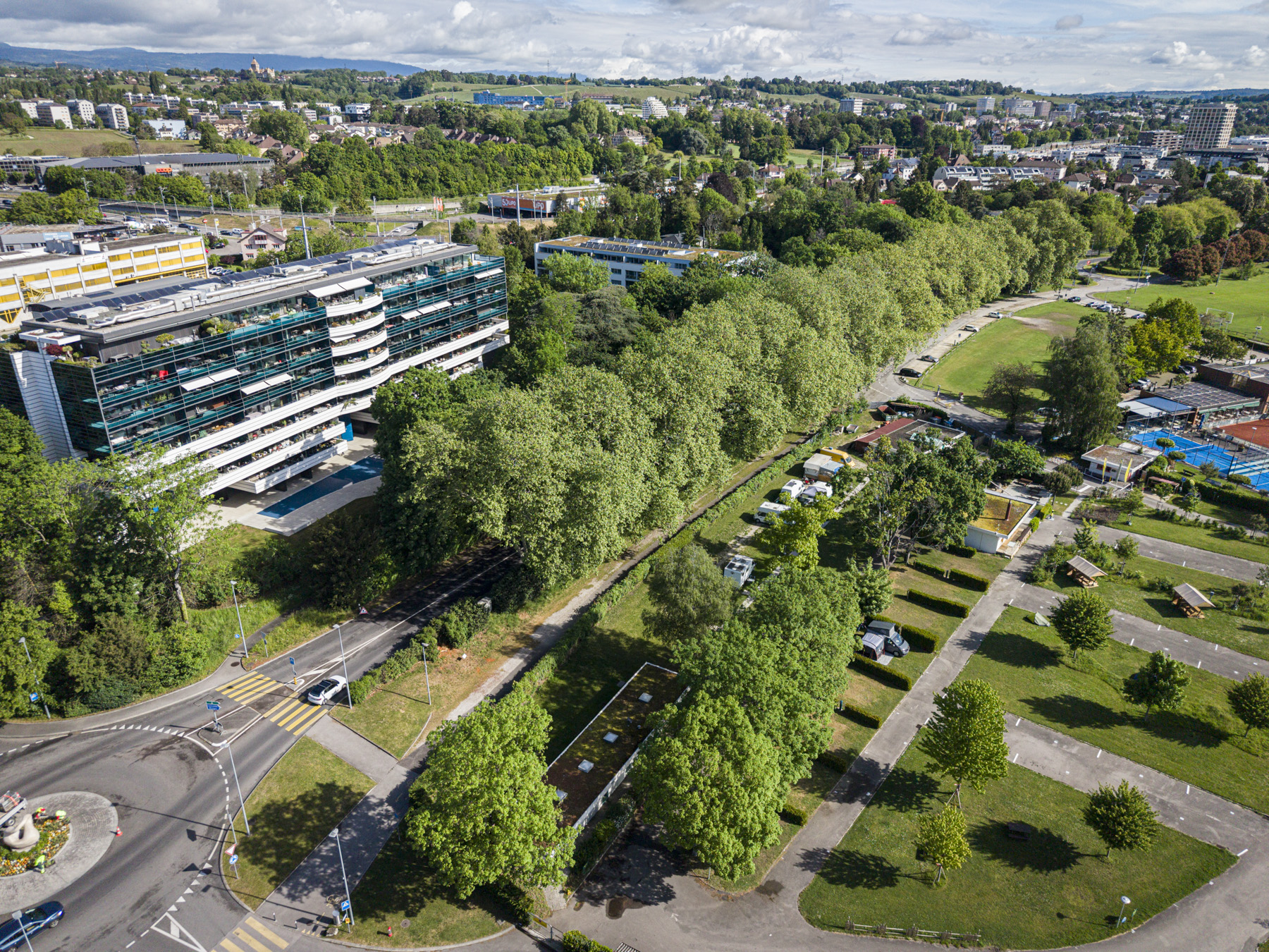Platanes - 011DJI_20260507095229_0046_D - HD - web.JPG
