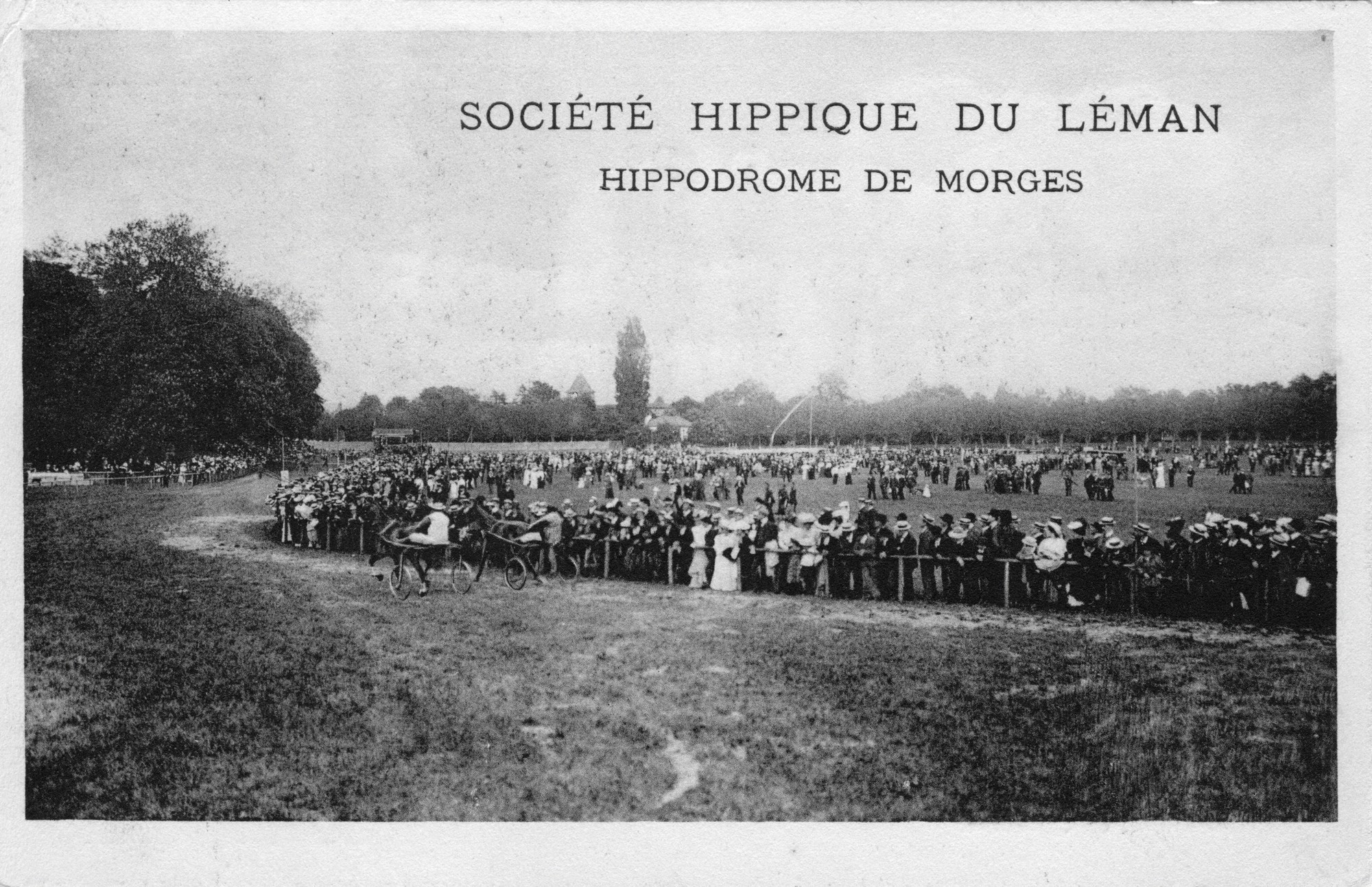 fondationBolle_PS_courseDeChevaux.jpg