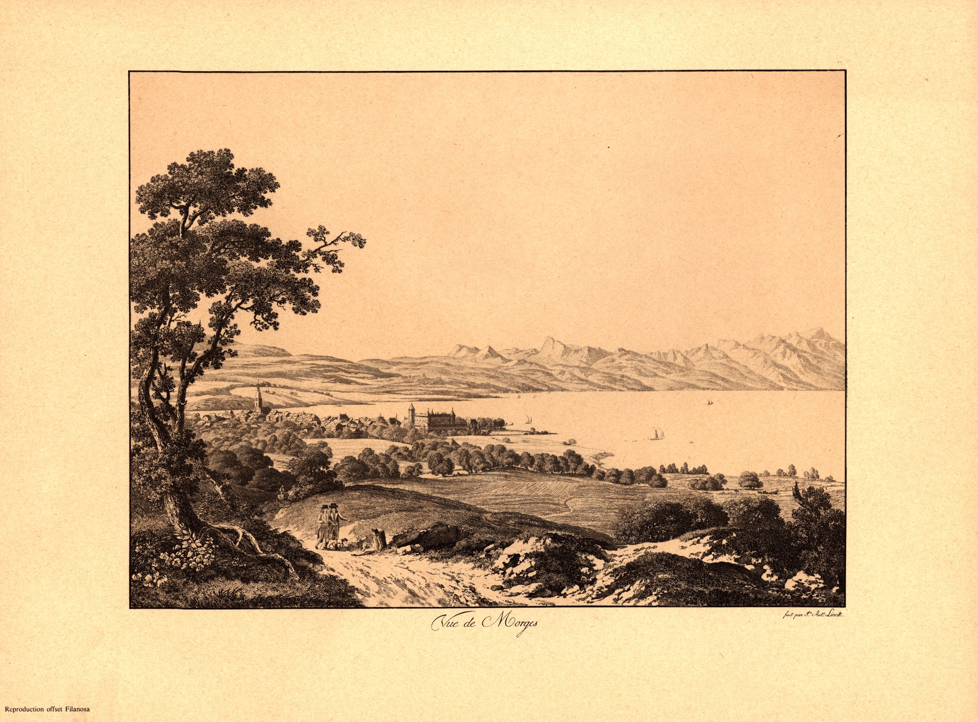 fondationBolle_PSPI_vueDeMorges.jpg