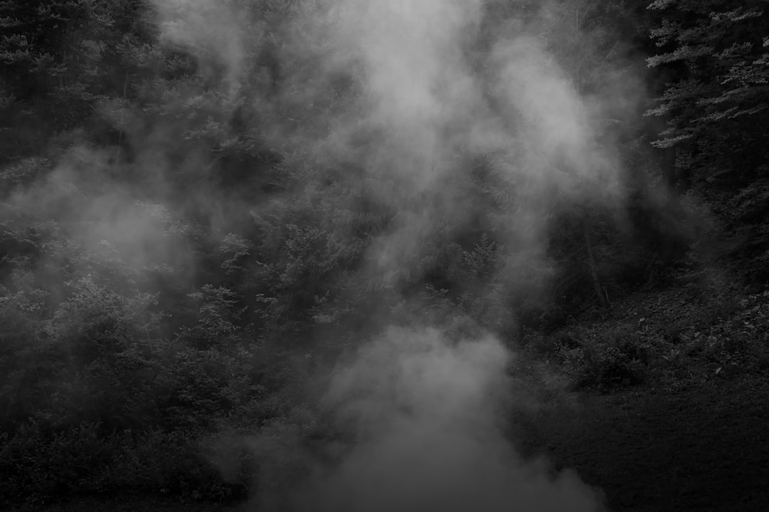 Exposition "Parfois, la Nuit" à la Villa Moyard