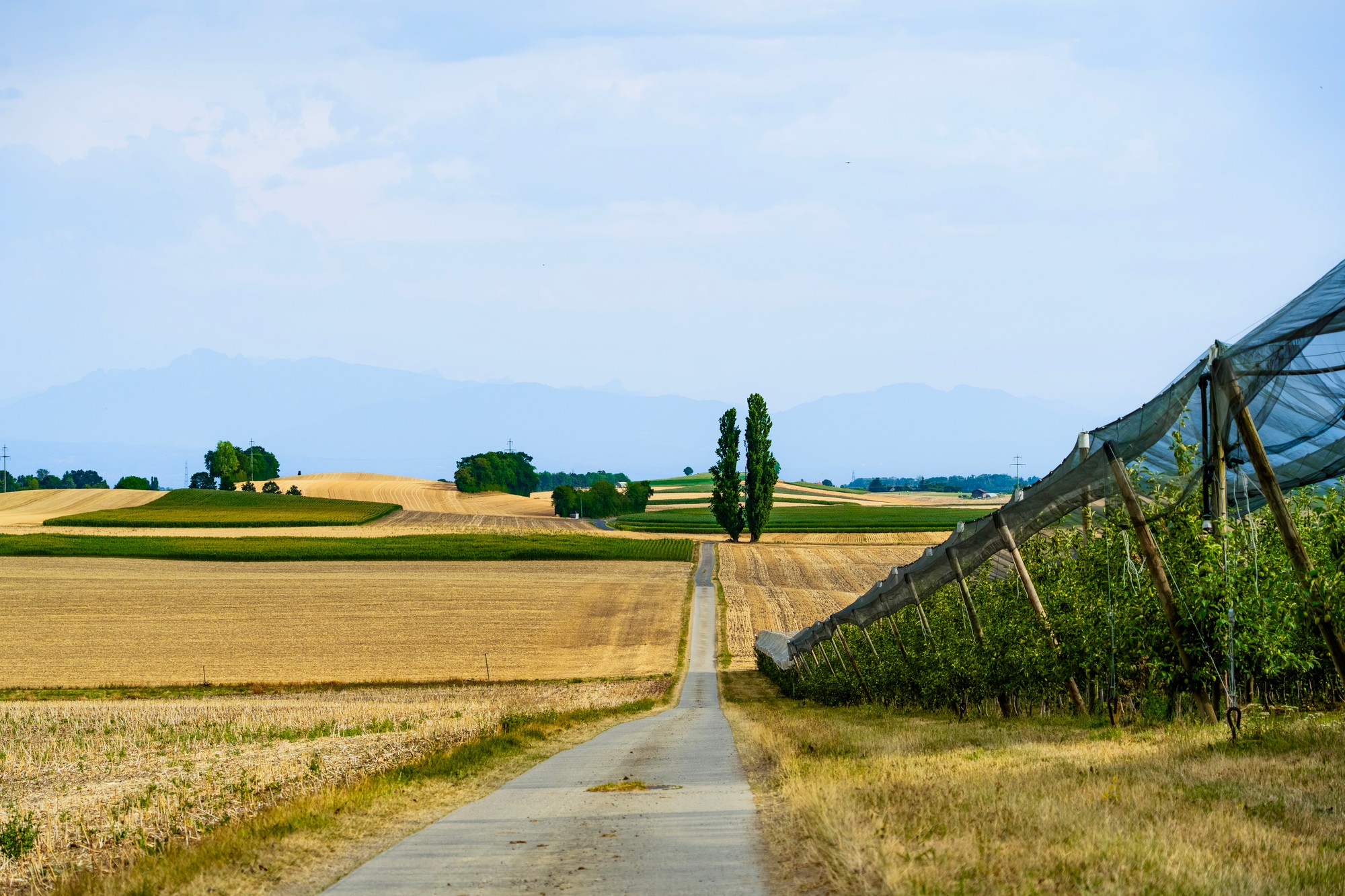Champs campagne district Morges