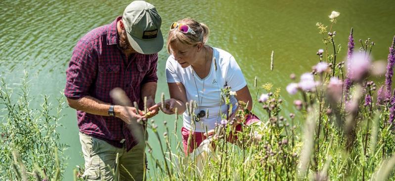 Charmey, Kr&auml;uter sammeln