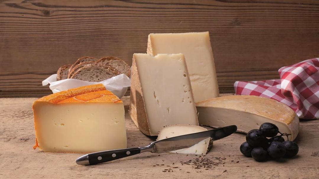 Cheese
