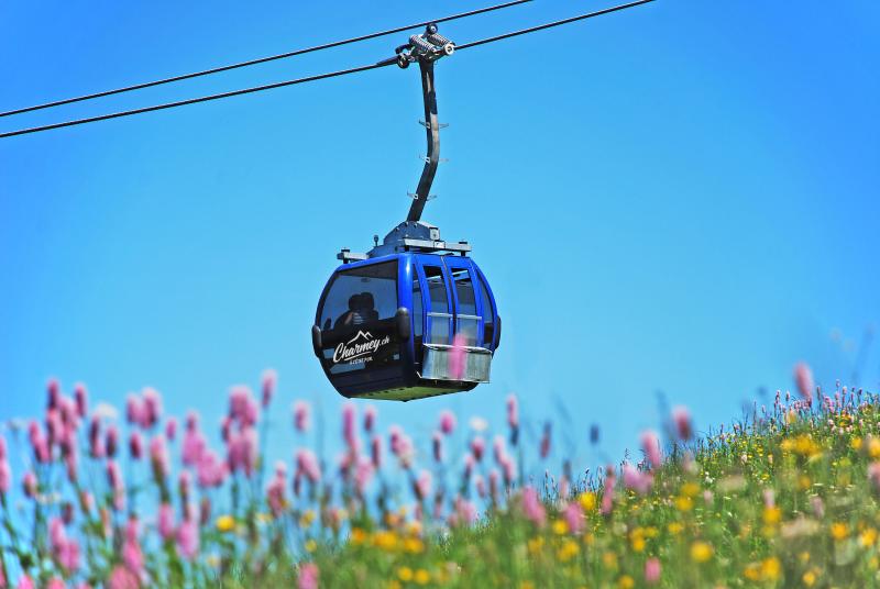 Charmey.ch t&eacute;l&eacute;cabine remont&eacute;es m&eacute;caniques charmey