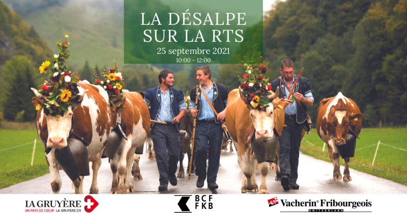 D&eacute;salpe sur la RTS - Banner 2021 sponsor