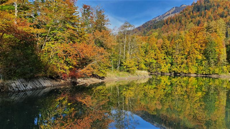 Tour du Lac de Lessoc - automne 2020 (4)