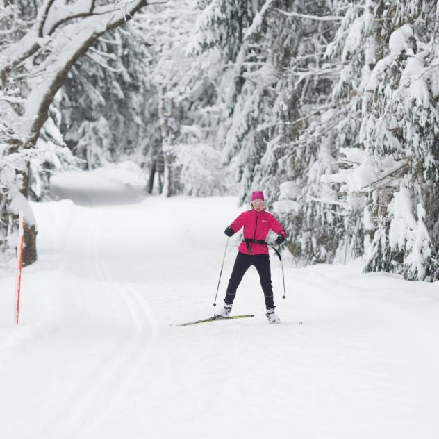 Ski De Fond