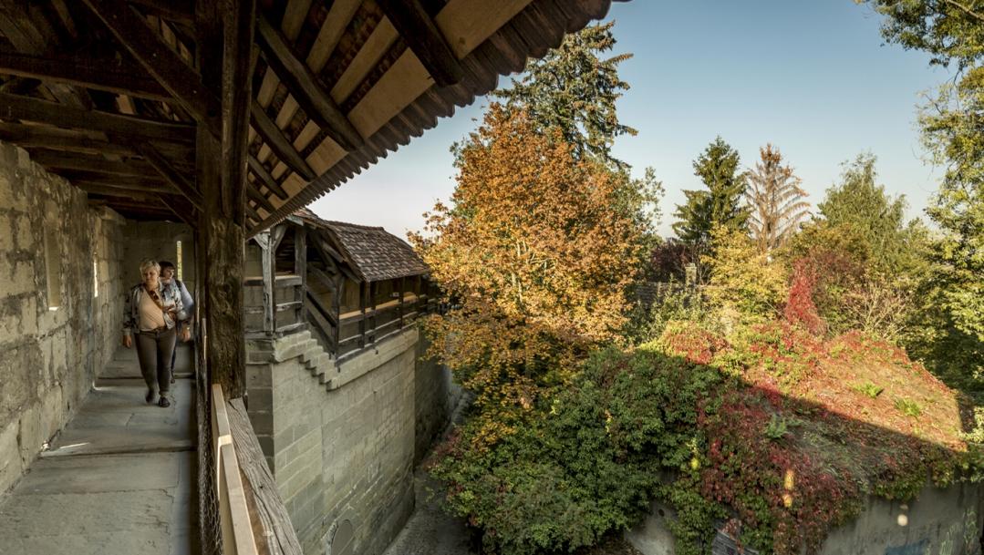 L'automne à Fribourg