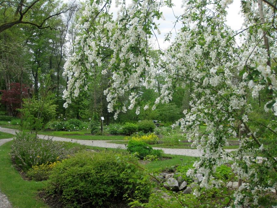 Botanischer Garten Freiburg